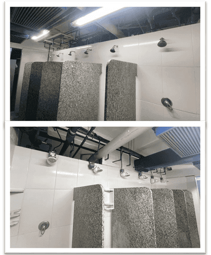 EstudoViabilidadeBasf