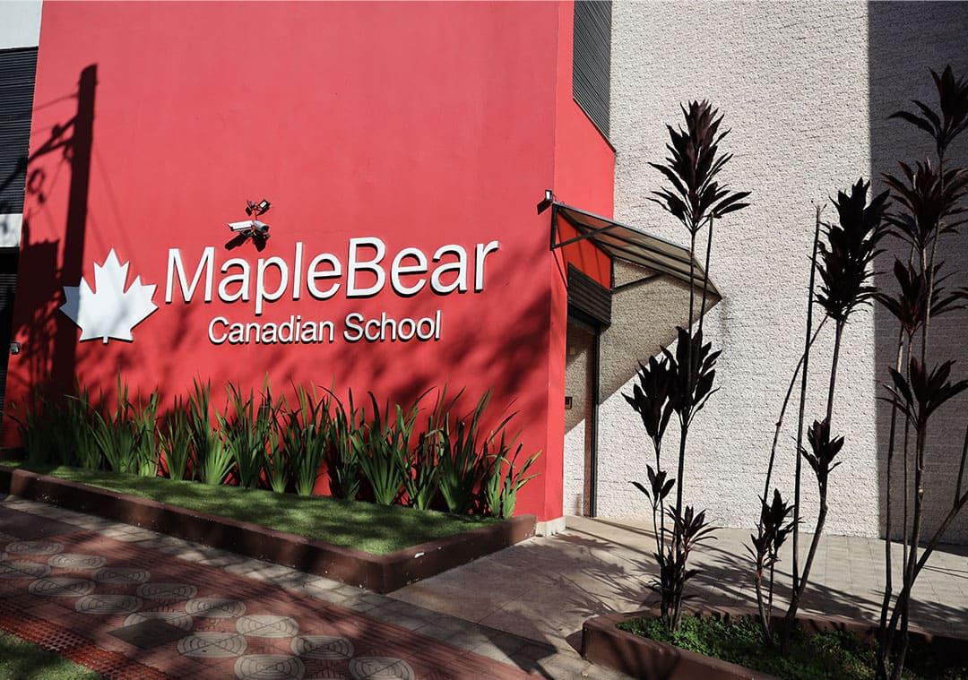 portfolio cover image